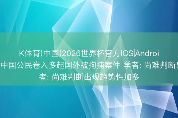 K体育(中国)2026世界杯官方IOS|Android手机app下载 中国公民卷入多起国外被拘捕案件 学者: 尚难判断出现趋势性加多
