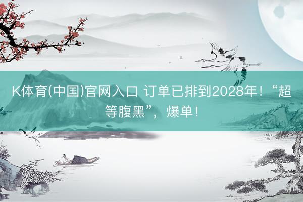K体育(中国)官网入口 订单已排到2028年！“超等腹黑”，爆单！