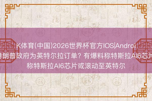 K体育(中国)2026世界杯官方IOS|Android手机app下载 特朗普政府为英特尔拉订单? 有爆料称特斯拉AI6芯片或滚动至英特尔