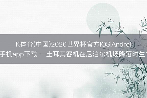 K体育(中国)2026世界杯官方IOS|Android手机app下载 一土耳其客机在尼泊尔机场降落时生气