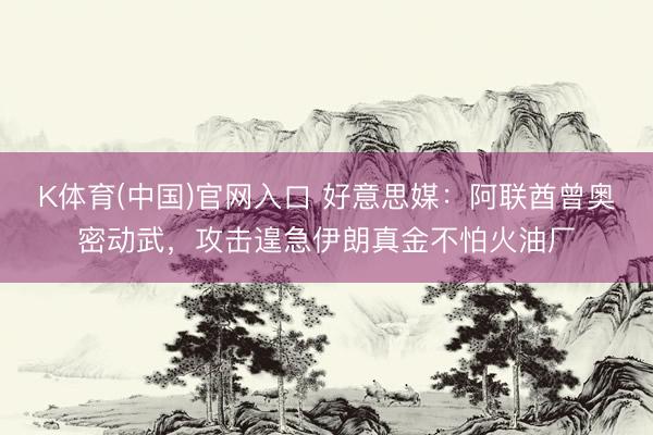 K体育(中国)官网入口 好意思媒：阿联酋曾奥密动武，攻击遑急伊朗真金不怕火油厂
