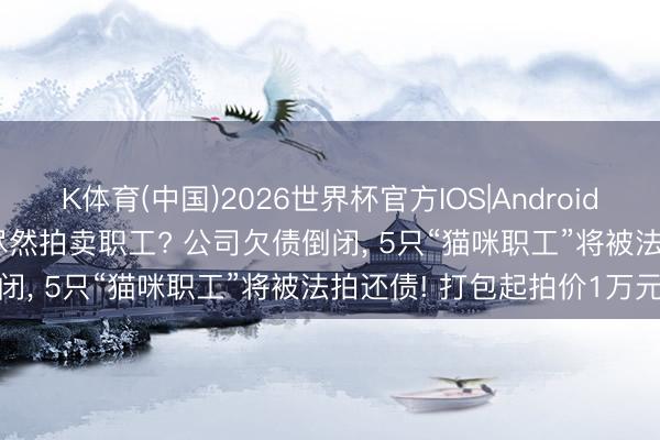 K体育(中国)2026世界杯官方IOS|Android手机app下载 公司倒闭， 尽然拍卖职工? 公司欠债倒闭， 5只“猫咪职工”将被法拍还债! 打包起拍价1万元