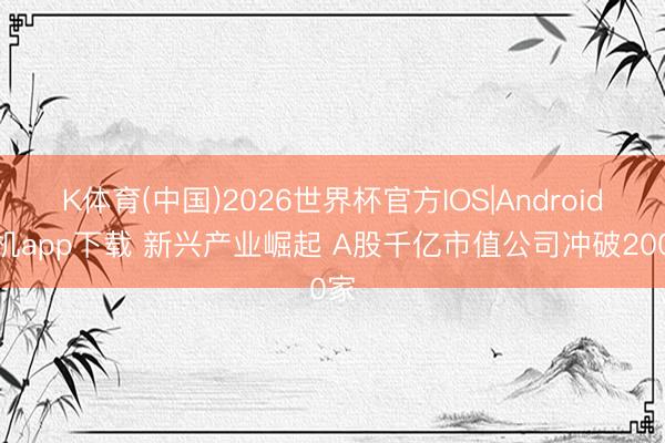 K体育(中国)2026世界杯官方IOS|Android手机app下载 新兴产业崛起 A股千亿市值公司冲破200家