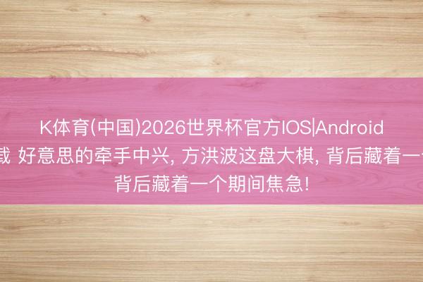 K体育(中国)2026世界杯官方IOS|Android手机app下载 好意思的牵手中兴， 方洪波这盘大棋， 背后藏着一个期间焦急!