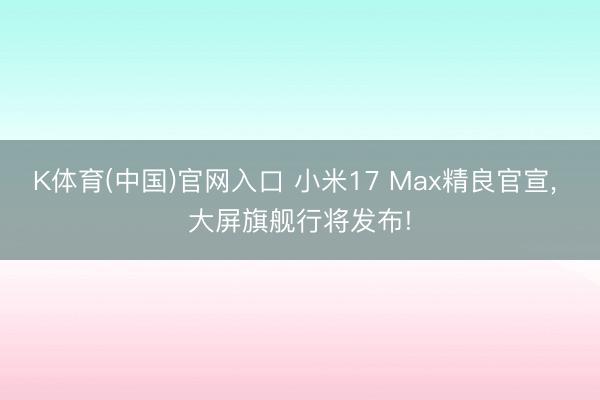 K体育(中国)官网入口 小米17 Max精良官宣， 大屏旗舰行将发布!