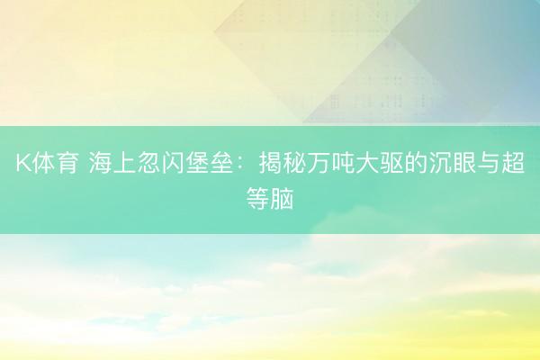 K体育 海上忽闪堡垒：揭秘万吨大驱的沉眼与超等脑