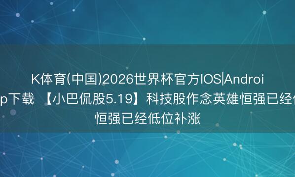 K体育(中国)2026世界杯官方IOS|Android手机app下载 【小巴侃股5.19】科技股作念英雄恒强已经低位补涨