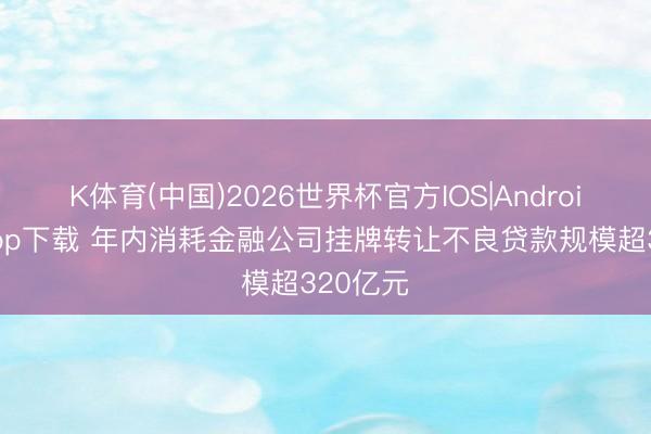 K体育(中国)2026世界杯官方IOS|Android手机app下载 年内消耗金融公司挂牌转让不良贷款规模超320亿元