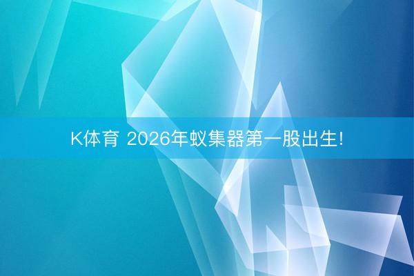 K体育 2026年蚁集器第一股出生!