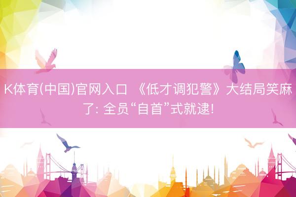 K体育(中国)官网入口 《低才调犯警》大结局笑麻了: 全员“自首”式就逮!