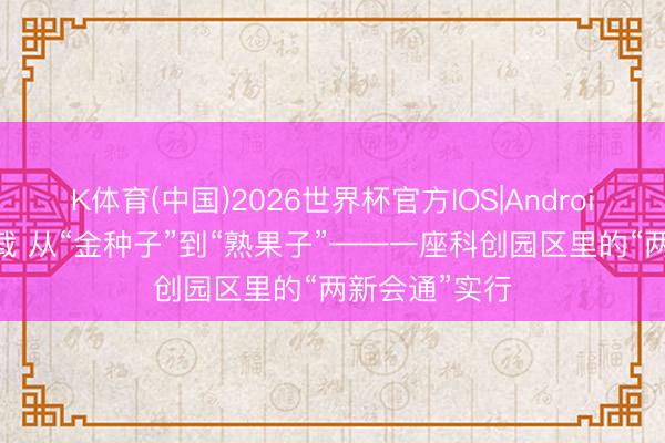K体育(中国)2026世界杯官方IOS|Android手机app下载 从“金种子”到“熟果子”——一座科创园区里的“两新会通”实行