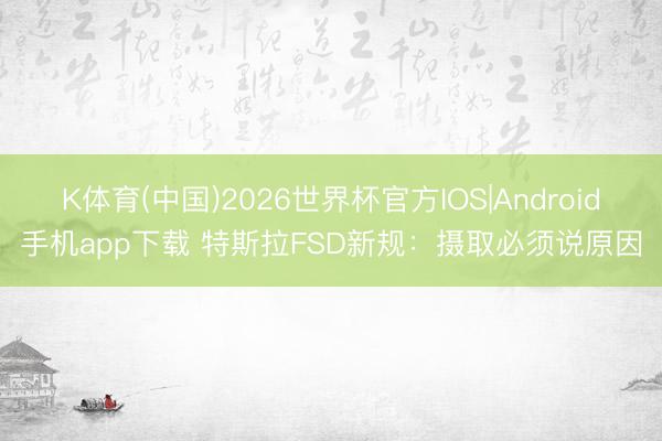 K体育(中国)2026世界杯官方IOS|Android手机app下载 特斯拉FSD新规：摄取必须说原因