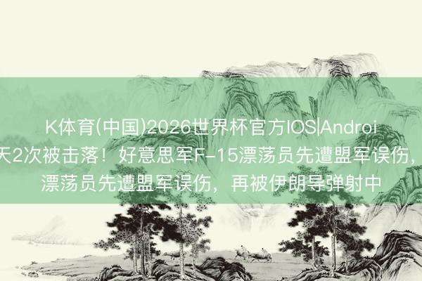 K体育(中国)2026世界杯官方IOS|Android手机app下载 33天2次被击落！好意思军F-15漂荡员先遭盟军误伤，再被伊朗导弹射中