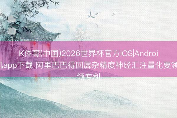 K体育(中国)2026世界杯官方IOS|Android手机app下载 阿里巴巴得回羼杂精度神经汇注量化要领专利