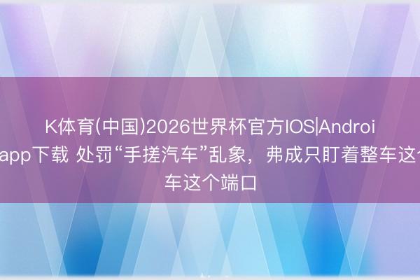 K体育(中国)2026世界杯官方IOS|Android手机app下载 处罚“手搓汽车”乱象，弗成只盯着整车这个端口
