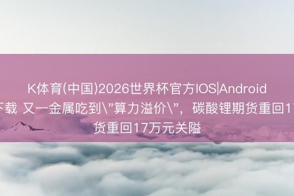K体育(中国)2026世界杯官方IOS|Android手机app下载 又一金属吃到