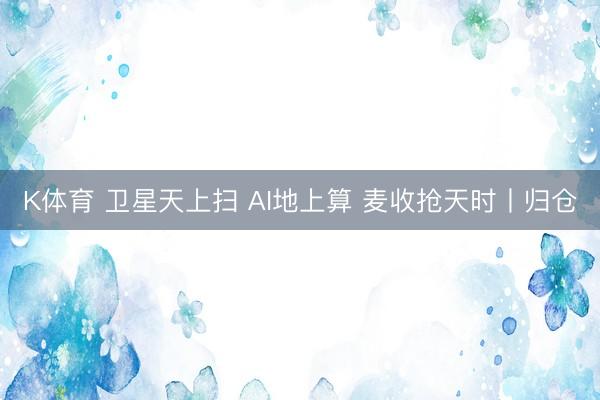 K体育 卫星天上扫 AI地上算 麦收抢天时丨归仓